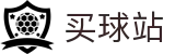 买球站 - 2026世界杯半场及全场比分竞猜综合数据